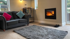 Fernseher, Kamin