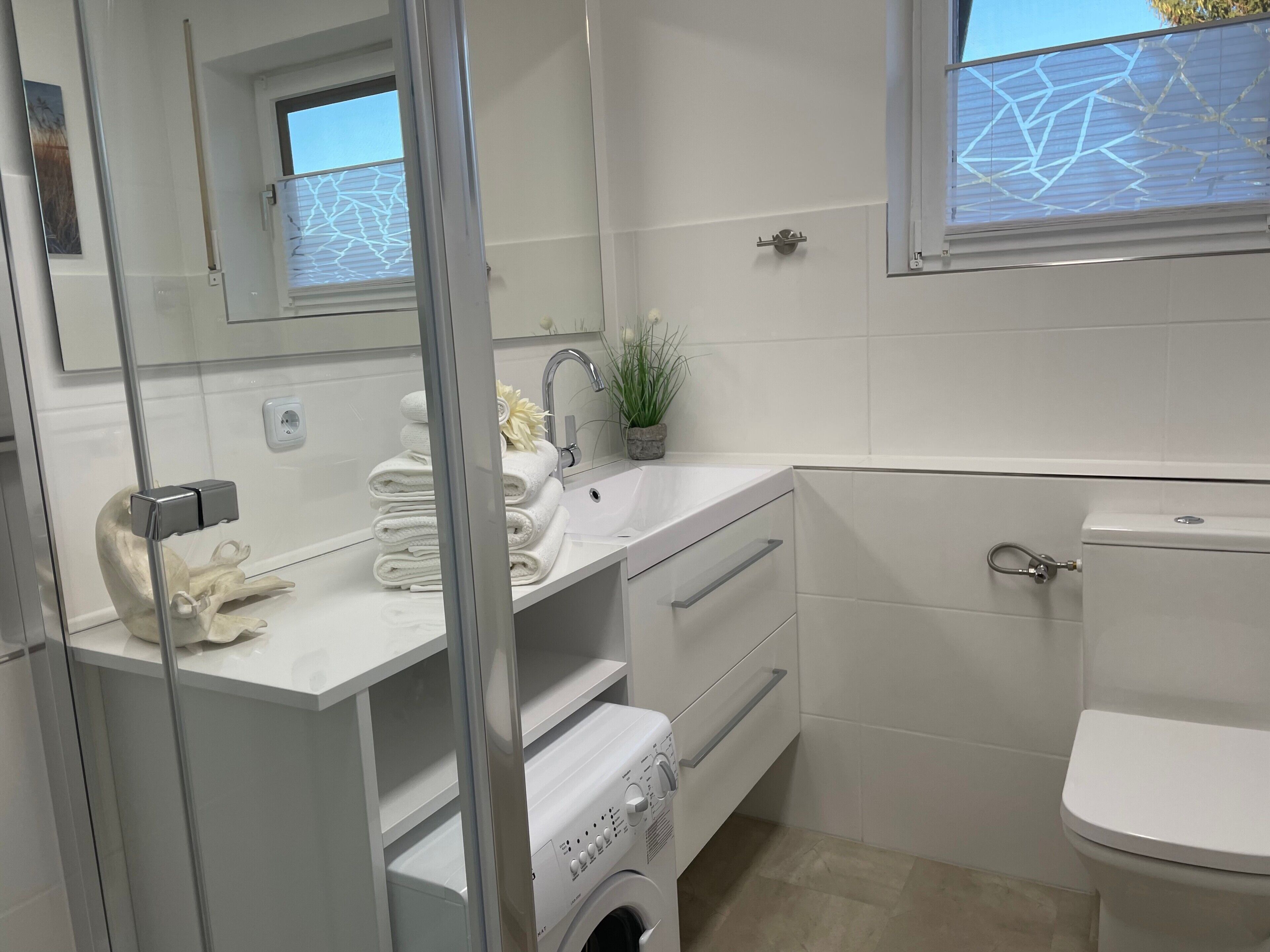Shower, hair dryer, towels