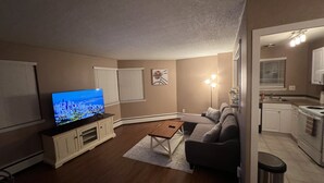 En opholdsstue med et fladskærms-tv, en sofa, et sofabord og et køkkenområde med skabe og en vask.