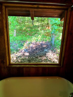 Badewanne, Handtücher, Seife, Toilettenpapier