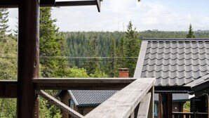 Uma cabana de madeira com telhado de metal, rodeada por uma floresta densa e um céu claro.