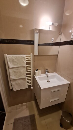 Bathroom features a vanity, sink, and mirror, with a towel rack and trash bin nearby.