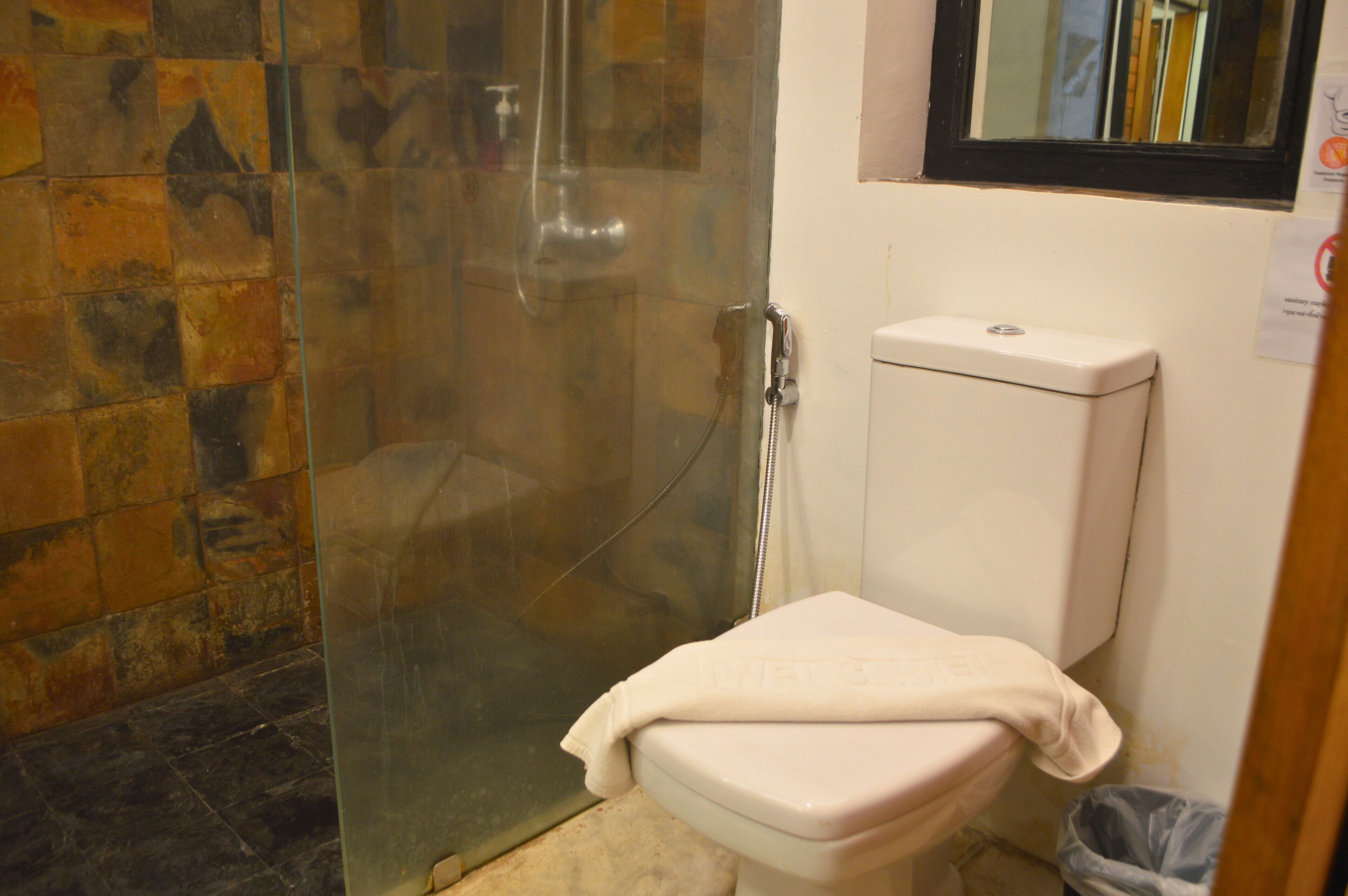 Ein Badezimmer mit Duschkabine aus Glas, Toilette und Mülleimer.