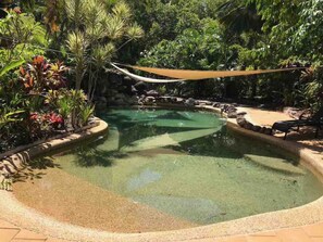 Pool - Wayfarer Apartment in Port Douglas (Port Douglas)