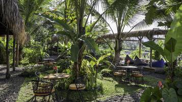 Un espace extérieur aménagé avec des tables et des chaises, entouré d’une végétation luxuriante et de palmiers.