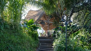 Una escalera conduce a una estructura con techo de paja rodeada de abundante vegetación.