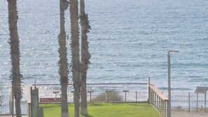 A coastal promenade with palm trees, a grassy area, and a metal railing along the water's edge. - Apartment on the beach, new (Bat Yam)