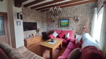 Smart TV, fireplace, books