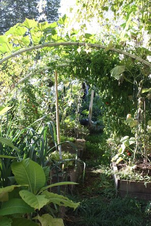 Property grounds - Clay Cocoon (Bischoffsheim)
