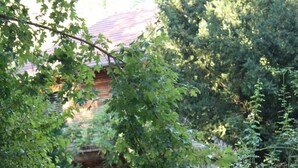 Un cancello chiuso con una saracinesca metallica e una cassetta delle lettere verde.