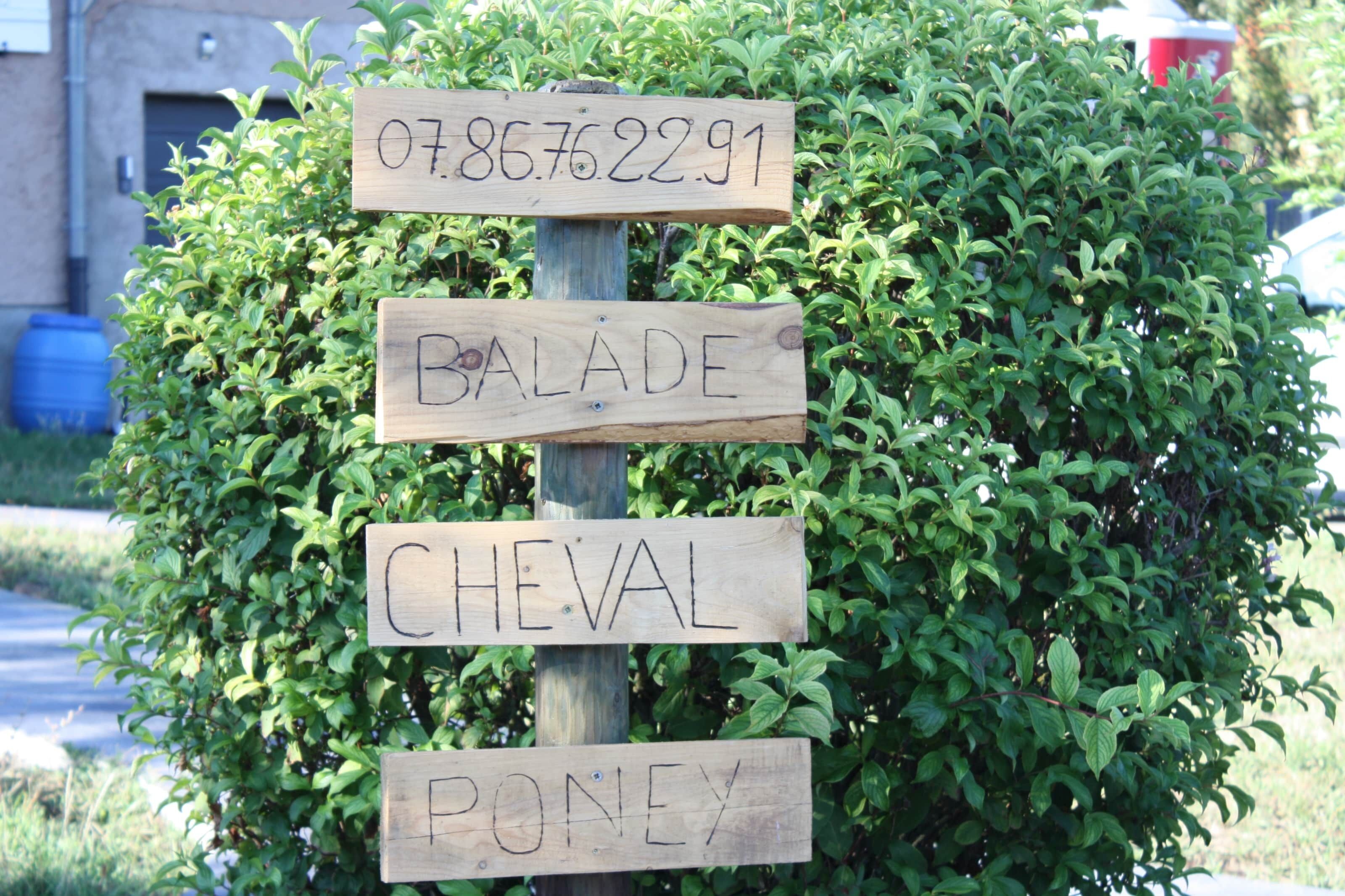 A wooden signpost with names carved into it.