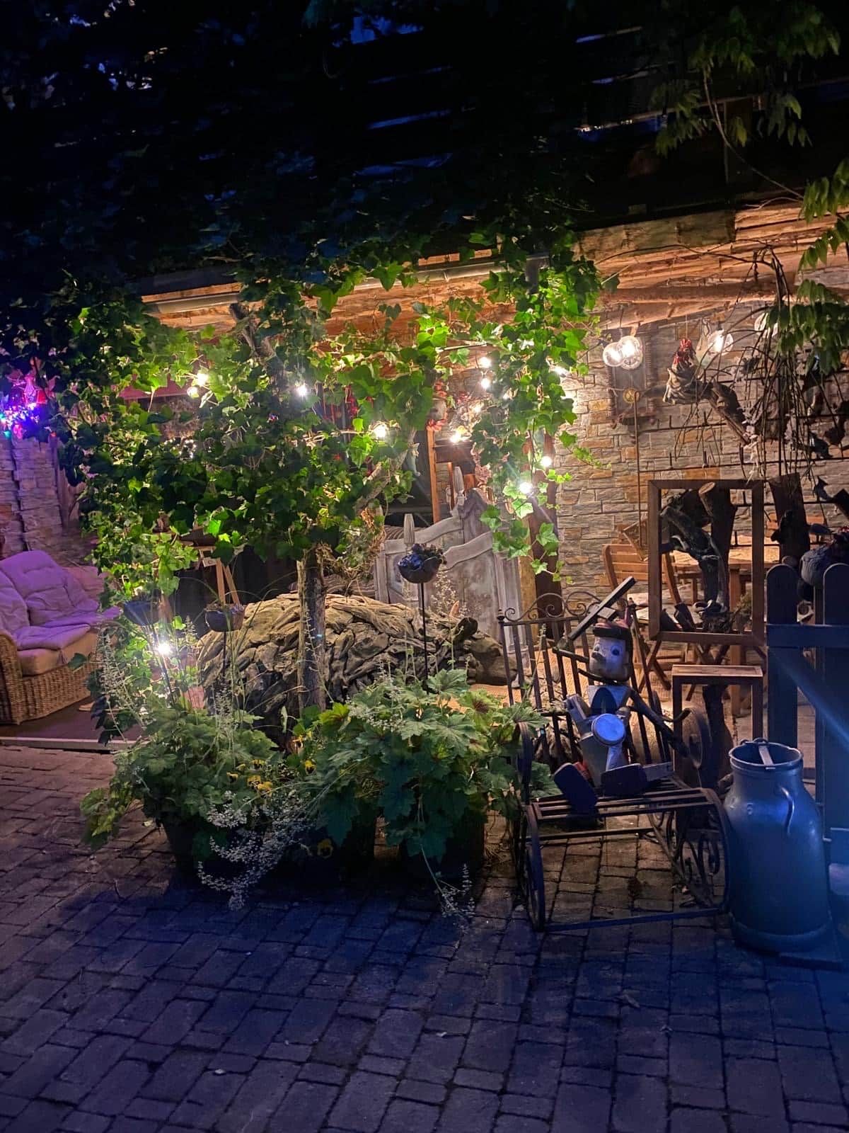 Un espace jardin extérieur agrémenté d’une arche en bois, de plantes en pot et de meubles de style rustique.