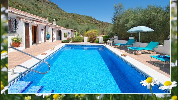A swimming pool with a tiled edge, surrounded by lounge chairs and a potted plant. - Romantic and private hide away with pool in Andalusia. (Comares)