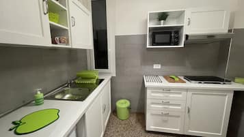 Fridge, microwave, spices