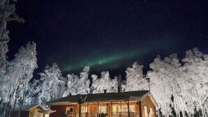 Eksteriør