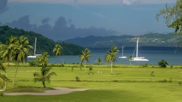 Campo de golf con palmeras y vista al mar con veleros.