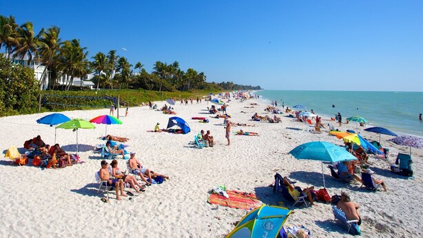 Una playa concurrida con muchos sombrillas y gente relajándose.