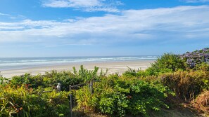 Beach - SeaClift - Big Stump Beach Ocean Front (Waldport)