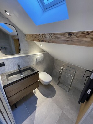 Un bagno moderno con finestra a lucernario, un lavandino, un WC e una zona doccia.