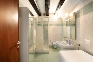 Shower, hair dryer, towels