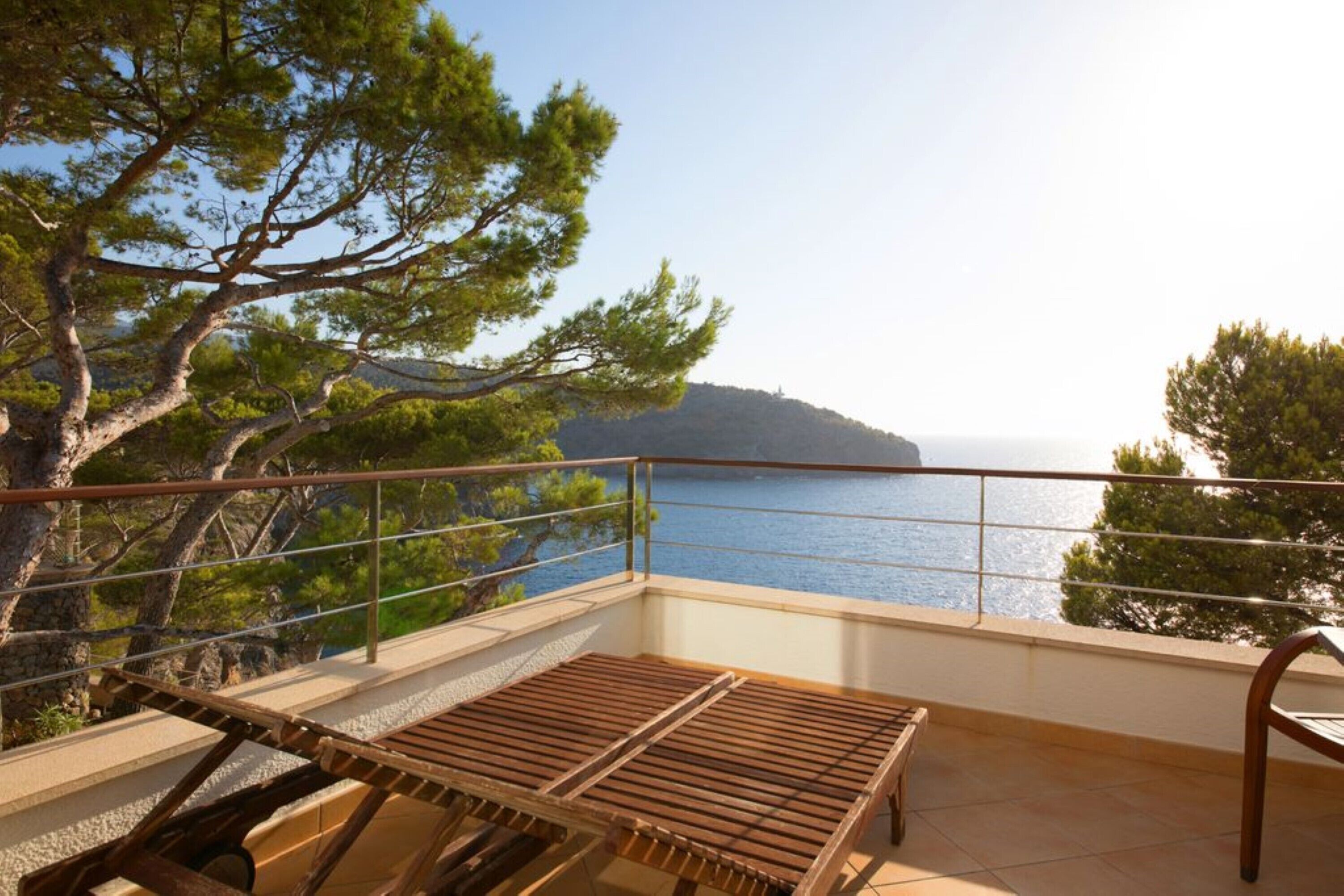 A balcony with a view of the sea and a pine tree.