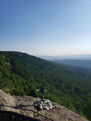 Unclassified image, 5 of 49, button - Lookout Escape - Top of Lookout Mountain (Lookout Mountain)