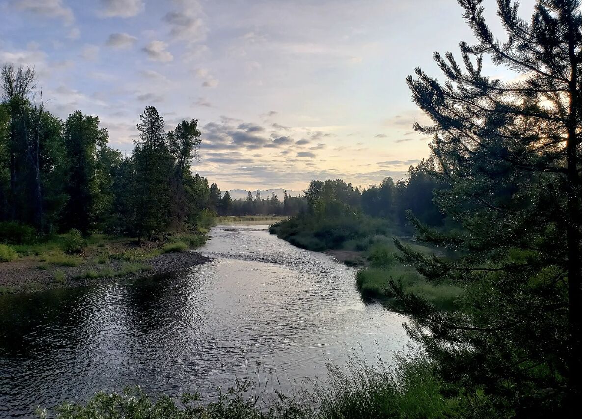 Moonridge Hideaway River Access & Dog Friendly