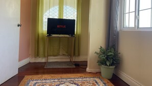 Une pièce avec un téléviseur posé sur un meuble, une plante en pot et une fenêtre avec des rideaux.
