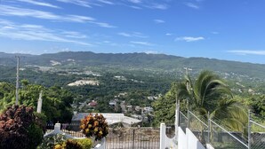 A view of a residential area with houses, a statue, and a fence. - Skyline Suites, Breathtaking Mountains & City View 1 Bedroom Apts by RedAwning (Montego Bay)