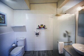 Shower, eco-friendly toiletries, hair dryer, towels