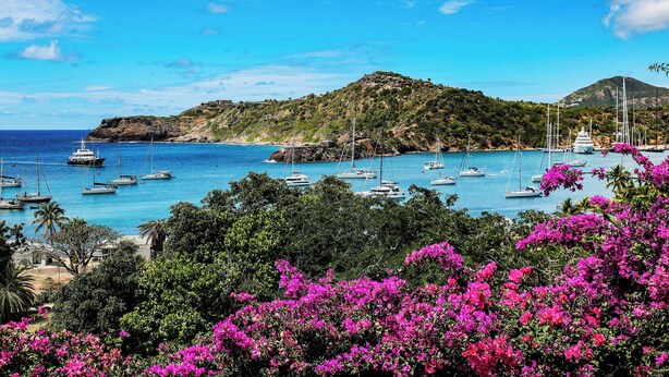 A coastal view with boats docked at a marina, surrounded by lush greenery and vibrant pink flowers. - STARLIGHT: GORGEOUS VIEWS OF THE BEACH, FORT BERKLEY & MONTSERRAT (English Harbour)