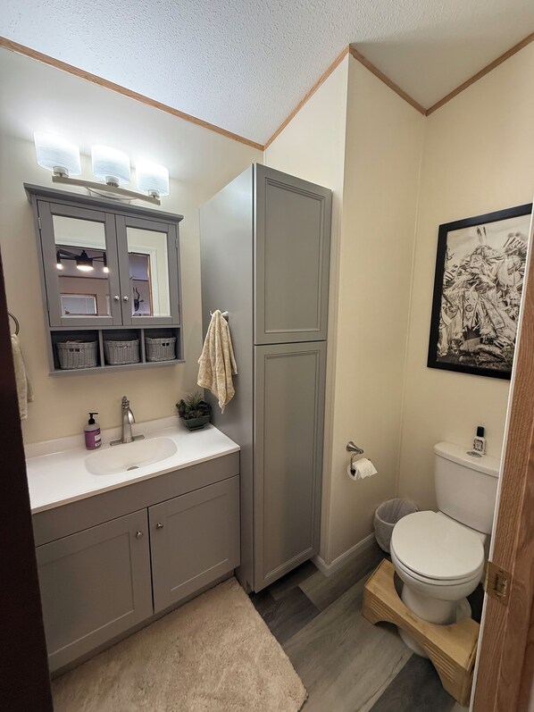 A bathroom with a grey vanity, a sink, a mirror, a towel rack, a toilet, and a framed picture on the wall. - The perfect stayHome located right next to the Big Horn River and Yellowtail Dam (Fort Smith)