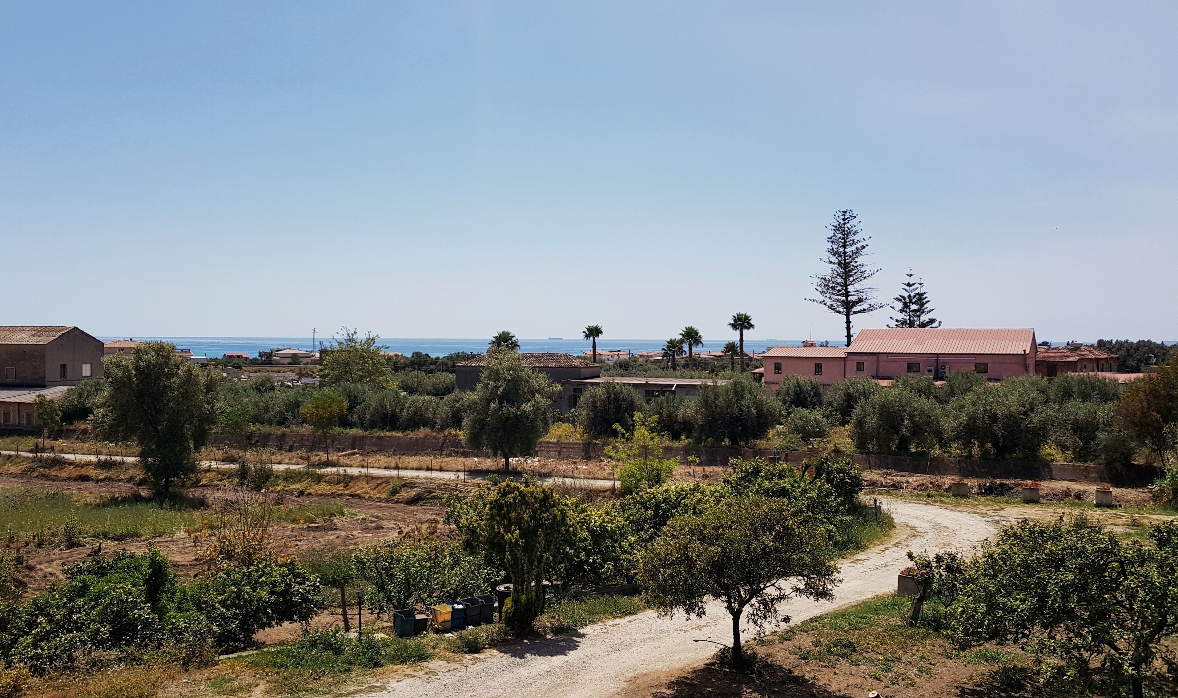 Un paisaje rural con un sendero de tierra, olivos y edificios con tejados rojos.