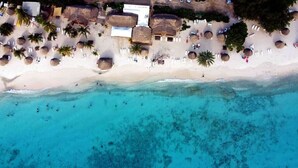 An aerial view of a beach with thatched-roof huts, white lounge chairs, and palm trees.