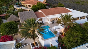 Une maison moderne avec une piscine, entourée de palmiers et d’un jardin.