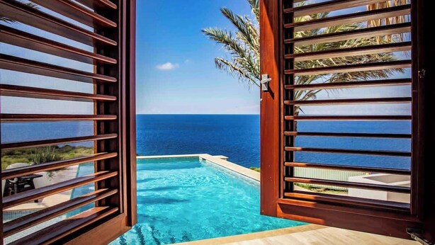 An infinity pool with a view of the ocean, wooden slatted doors, and a palm tree.