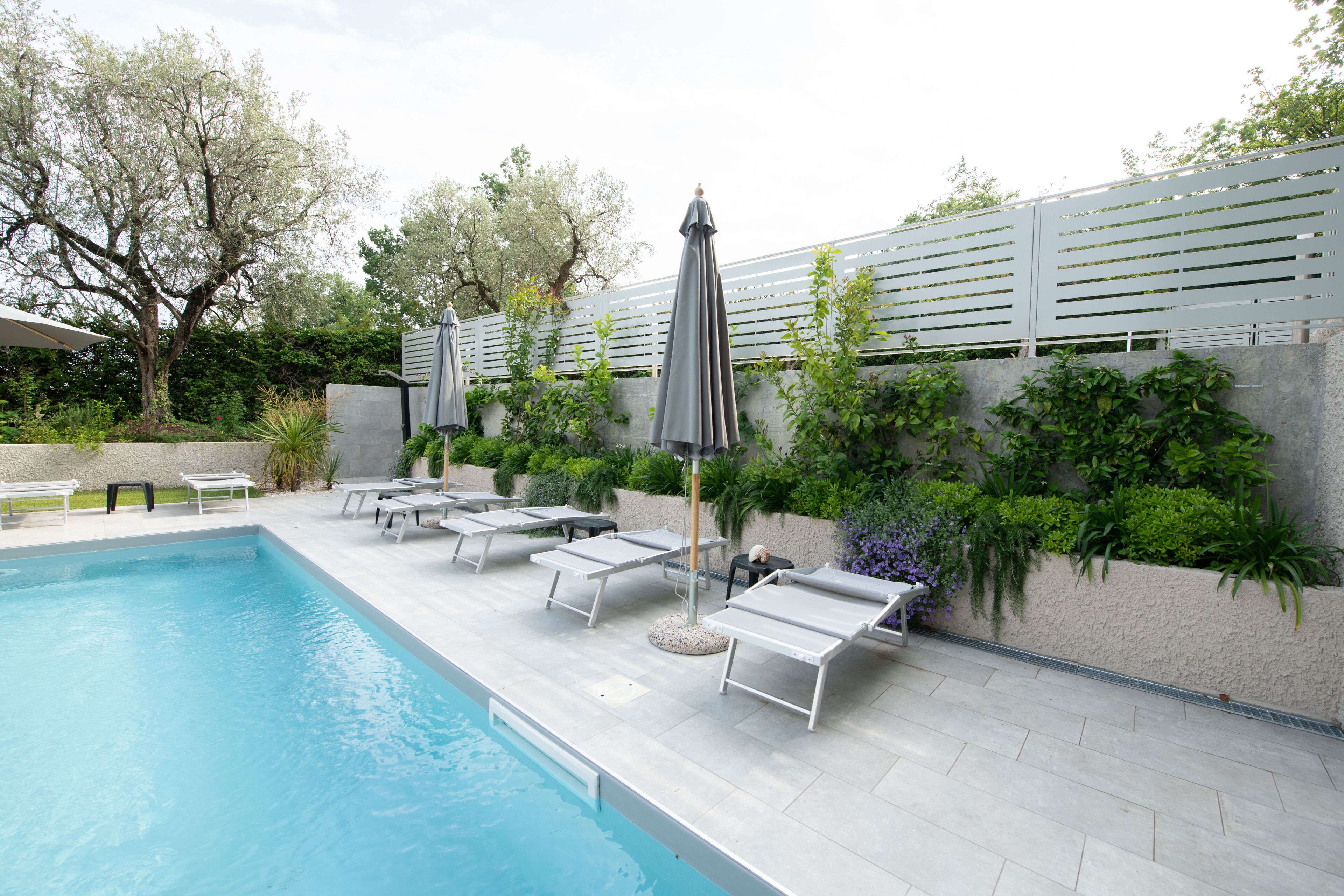 A swimming pool with lounge chairs and umbrellas, surrounded by greenery and a white fence.