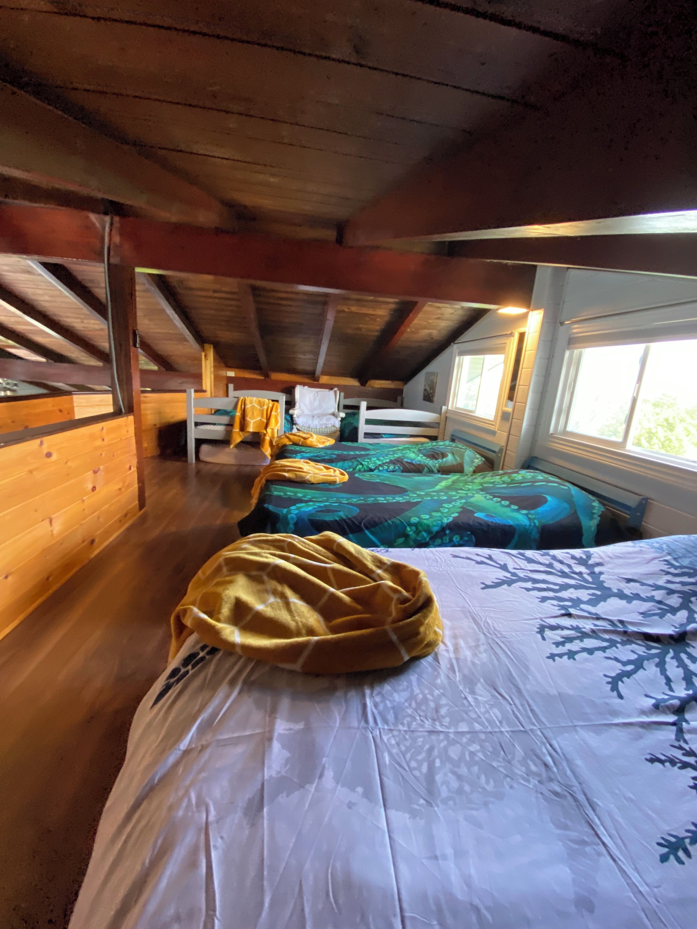 A dormitory room with bunk beds, wooden walls, and a window providing natural light.