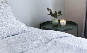 Appartamento, 1 letto singolo | 1 camera, Wi-Fi gratuito, lenzuola