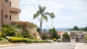 Zona residencial con una señal de parada, palmeras y vista al océano.