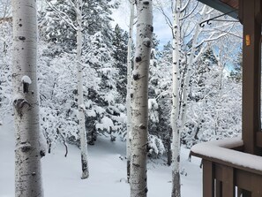 A snowy forest scene with birch trees and a wooden deck. - Private Loft located between Bryce and Zion National Parks (ALTON)