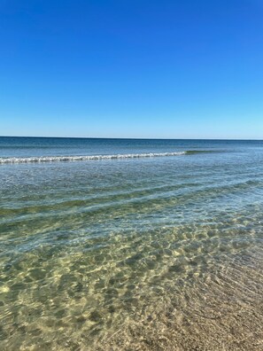 Playa en los alrededores y camastros 