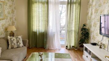 TV, books, video library