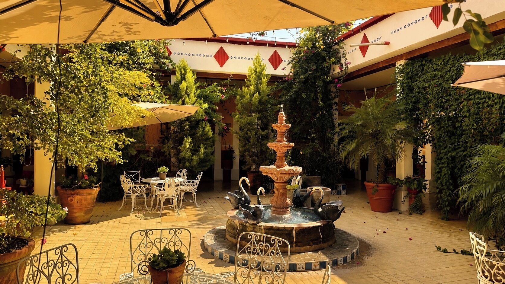 Terrace/patio