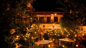 Property grounds - Copa de Oro Hotel Boutique (Mascota)