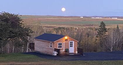 Cozy Little Cabin sleeps 4