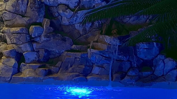 Ein felsiger Wasserfall mit einer Palmenpflanze.