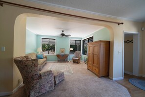 Smart TV, fireplace, books