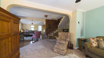 Smart TV, fireplace, books