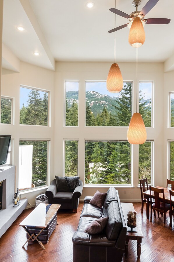 Smart TV, lareira, DVD player, livros